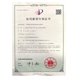 實(shí)用新型專利 (1)